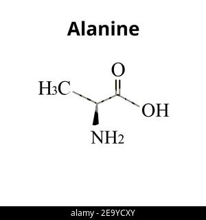 L'alanine est un acide aminé. Formule moléculaire chimique Alanine acide aminé. Illustration vectorielle sur un arrière-plan isolé Illustration de Vecteur
