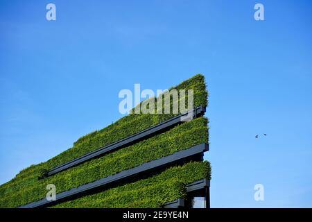 'Air conditionné naturel': Haies de charme sur un bâtiment écologique par les architectes d'Ingenhoven au salon de l'Industrie II à Düsseldorf/Allemagne. Banque D'Images