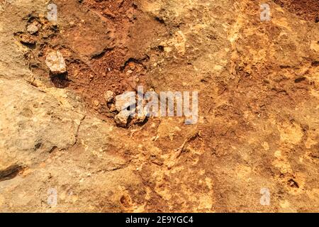 La texture de grès de près. plage de benagil au Portugal Banque D'Images