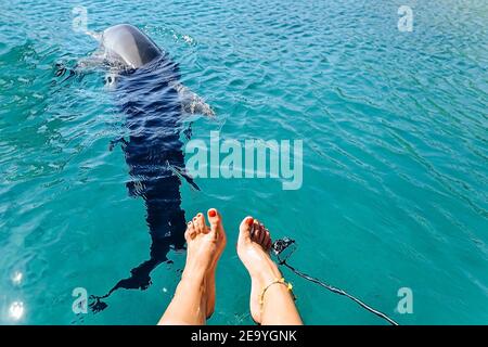 pieds femelles dans l'eau, le dauphin nage sous l'eau, belle eau bleu vif, la texture de la surface de l'eau est bleue Banque D'Images