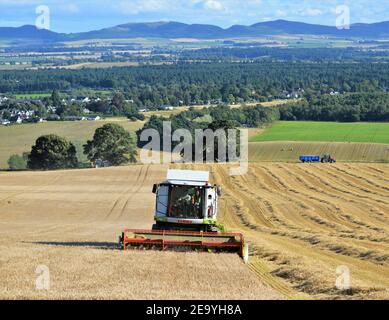 Les moissonneuses-batteuses Claas récoltent de l'orge de printemps, Maryfield, Blairgowrie, Perthshire, Écosse - Grande-Bretagne arable Farming. Banque D'Images