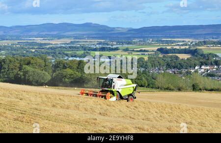 Les moissonneuses-batteuses Claas récoltent de l'orge de printemps, Maryfield, Blairgowrie, Perthshire, Écosse - Grande-Bretagne arable Farming. Banque D'Images
