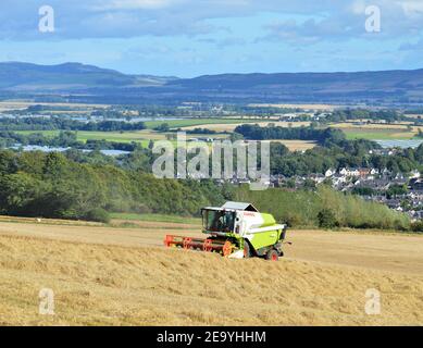 Les moissonneuses-batteuses Claas récoltent de l'orge de printemps, Maryfield, Blairgowrie, Perthshire, Écosse - Grande-Bretagne arable Farming. Banque D'Images