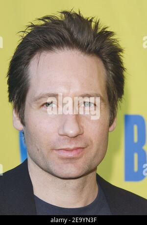 David Duchovny arrive à la 11ème fête annuelle 'BAFTA / LA Tea Party', qui s'est tenue à l'hôtel Park Hyatt de Los Angeles, le samedi 15 janvier 2005. Photo de Nicolas Khayat/ABACA. Banque D'Images