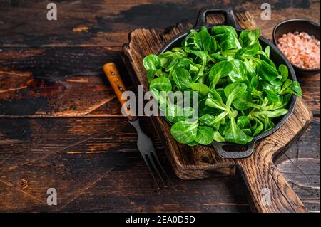 Agneaux verts frais laitue salade de maïs feuilles dans une casserole. Arrière-plan en bois sombre. Vue de dessus. Copier l'espace Banque D'Images