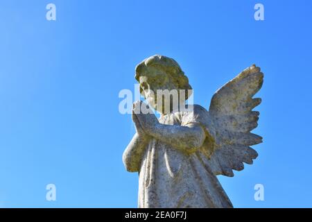 Statues d'ange dans un cimetière public catholique de Californie avec ciel ouvert qui est clair, d'avant la guerre mondiale 2 les inhumations pour les familles locales et copie Banque D'Images