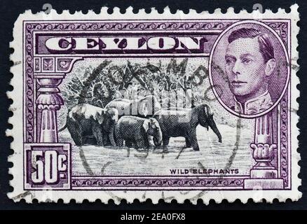 Timbre-poste Ceylan avec éléphants sauvages et George VI Banque D'Images