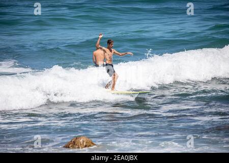 Homme adolescent surfant sur les vagues à Avalon Beach à Sydney Un jour d'été, Sydney, Australie Banque D'Images