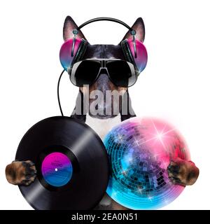 DJ Bull terrier chien jouant de la musique dans un club avec disco ball , isolé sur fond blanc, avec vinyle record Banque D'Images