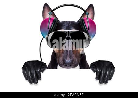 DJ Bull terrier chien jouant de la musique dans un club avec boule disco , isolé sur fond blanc, derrière la bannière ou l'écriteau Banque D'Images