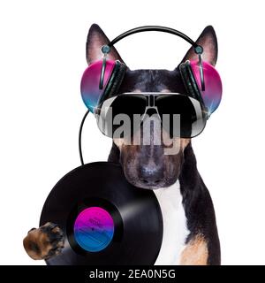 DJ Bull terrier chien jouant de la musique dans un club avec disco ball , isolé sur fond blanc, avec vinyle record Banque D'Images