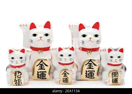 Chat chanceux japonais sur fond blanc, le mot japonais de cette photographie signifie « meilleure fortune, bénédiction, fortune économique » Banque D'Images