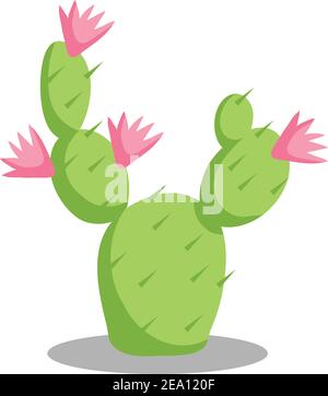 Illustration du stock de plantes du désert de Cactus , avec des fleurs isolées sur fond blanc Illustration de Vecteur