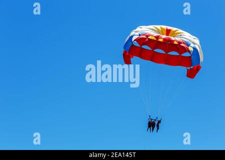Les parachutistes volent dans le ciel bleu. Parachutisme d'activité Banque D'Images