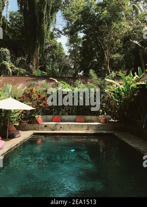 Une arrière-cour chic d'une villa privée moderne avec piscine piscine entourée de plantes tropicales luxuriantes Banque D'Images