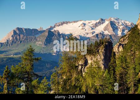 Vue sur le nord du groupe de montagne Marmolada, glacier. Mélèze (Larix decidua). Trentin-Haut-Adige. Alpes italiennes. Europe. Banque D'Images