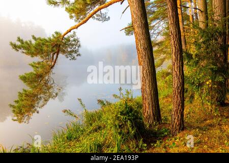 Warmia et Masuria, lac aux couleurs automnales, Pologne Banque D'Images