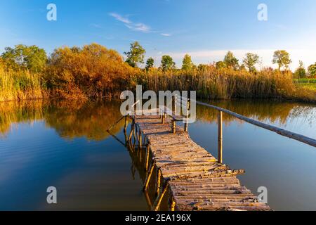 Warmia et Masuria, lac aux couleurs automnales, Pologne Banque D'Images