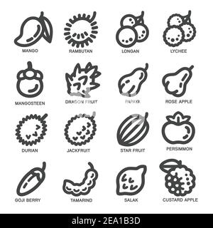 ensemble d'icônes de ligne fine de fruit, illustration vectorielle Illustration de Vecteur