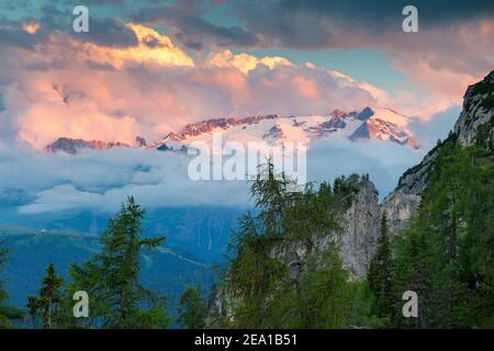 Vue sur le nord du groupe de montagne Marmolada, glacier. Mélèze (Larix decidua). Trentin-Haut-Adige. Alpes italiennes. Europe. Banque D'Images