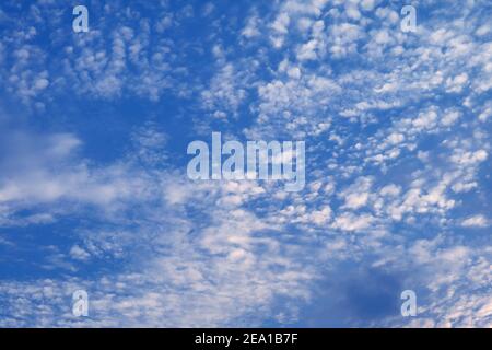 Altocumulus blanc nuages dispersés sur le ciel bleu vif Banque D'Images