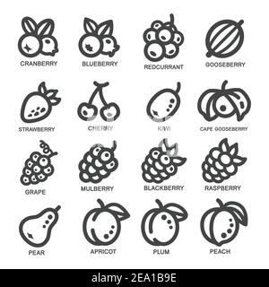 ensemble d'icônes de ligne fine de fruit, illustration vectorielle Illustration de Vecteur