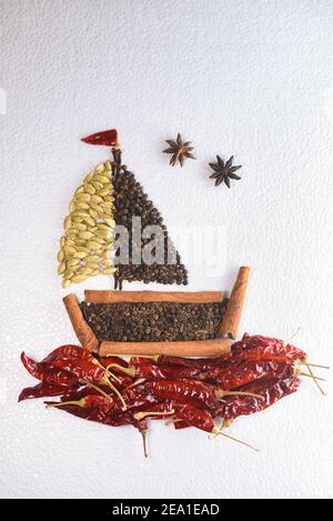 Épices indiennes. Masala de curry épicé indien pour faire du curry en Inde. Thé masala, médecine ayurvédique utilisée en Inde. Ayurveda bonne santé. Masala de garam Banque D'Images