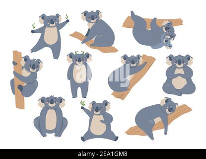 Jeu d'illustrations vectorielles Koala. Caricature animaux furieux personnages dans différentes poses collection, ours gris koalas escalade eucalyptus, assis et manger, seul ou avec bébé isolé sur blanc Illustration de Vecteur