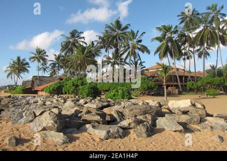 Ranweli village de vacances niché derrière des palmiers à la plage de Waikkal sur la côte sri-lankaise - un complexe écologique à quelques kilomètres seulement de Columbo. Banque D'Images