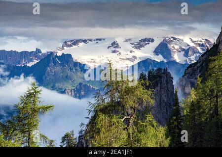 Vue sur le nord du groupe de montagne Marmolada, glacier. Mélèze (Larix decidua). Trentin-Haut-Adige. Alpes italiennes. Europe. Banque D'Images