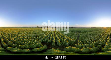 Vue panoramique à 360° de Panorama VR 360 Milky Way et Zodiaque lumière sur le champ de riz à Ban Pa Bong Piang Jomthong, Chiang Mai, Thaïlande.