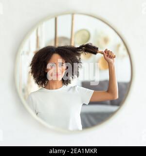 Bouleversé jeune femme afro-américaine attirante tire le peigne des cheveux bouclés, regarde dans le reflet du miroir rond Banque D'Images