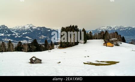 Paysage de neige avec sable du Sahara dans l'air. Arbres sur la pente enneigée, forêts et haute lande. Hiver mit Saharasand à Wolke. Alpsteinmassif, Amerlügen Banque D'Images