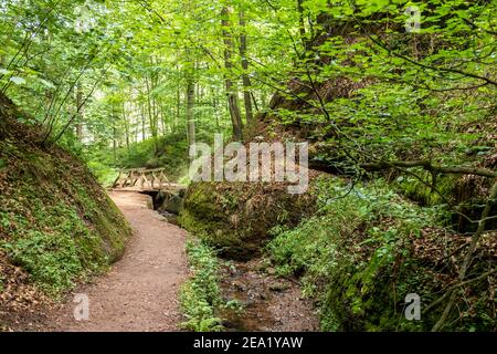 Sentier de randonnée et ruisseau dans le Drachenschlucht, gorge du Dragon près d'Eisenach, Thuringe Banque D'Images