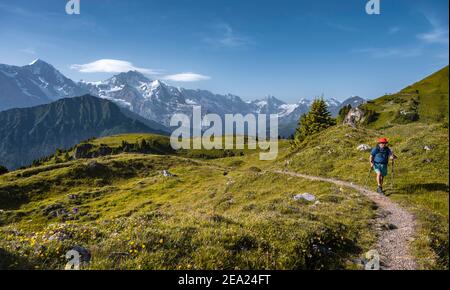 Randonneurs au Schynige Platte, sommets enneigés, Eiger, Moench, Jungfraujoch et Jungfrau, région de Jungfrau, Grindelwald, canton de Berne Banque D'Images