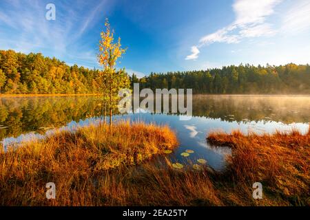 Warmia et Masuria, lac aux couleurs automnales, Pologne Banque D'Images