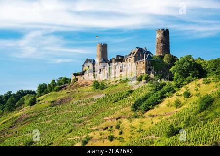 Château de durant au-dessus des vignobles dans la vallée de la Moselle, Alken, Untermosel, Rhénanie-Palatinat, Allemagne Banque D'Images