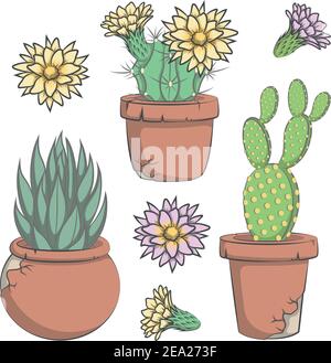 Ensemble de cactus vectoriels de couleur avec fleurs dans de vieux pots. Illustration de Vecteur