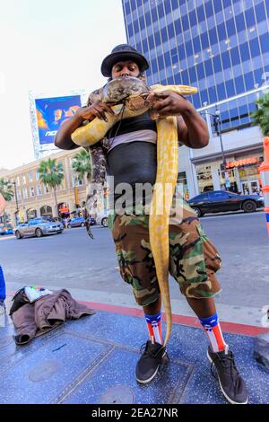 Hollywood, Californie-États-Unis, 03.16.2014: Un artiste de rue exécutant des serpents python sur le Hollywood Walk of Fame aux États-Unis Banque D'Images