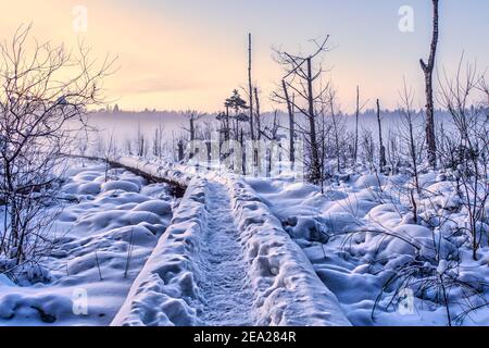 Passerelle en bois sur le sentier de randonnée et recouverte de neige Banque D'Images