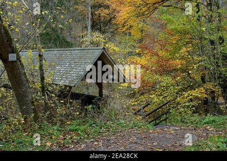 Gorge de Wutach, pont de canoë-kayak au-dessus de la rivière Wutach, pont en bois couvert, réserve de parc naturel, Forêt-Noire, parc naturel de la Forêt-Noire du Sud Banque D'Images