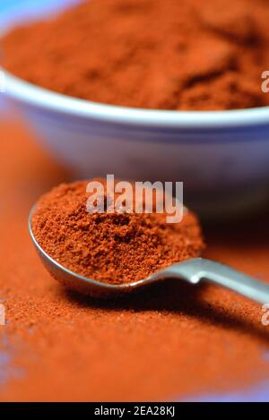 Poudre de paprika en cuillère, Capsicum annuum, Chili, poudre de Chili Banque D'Images