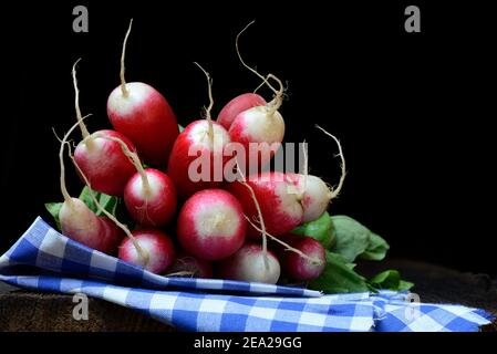 Red-White Red Radish ( Raphanus sativus var. Sativus) Banque D'Images