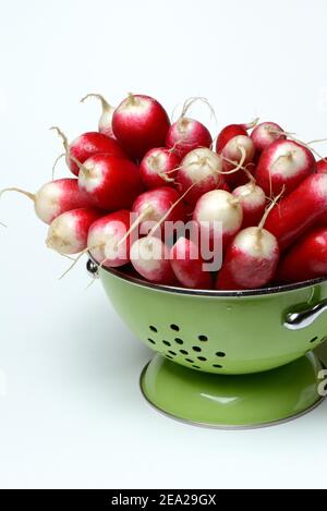 Red-White Red Radish ( Raphanus sativus var. Sativus) dans le tamis Banque D'Images