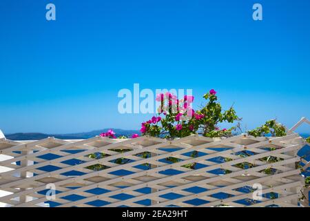Haie blanche aux fleurs rouges contre la mer Méditerranée bleue. Place libre. Concept de vacances Banque D'Images