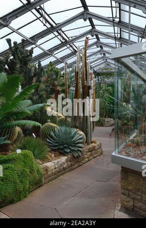 Maison Cactus à Wilhelma, jardin zoologique et botanique, Stuttgart, Bade-Wurtemberg, Allemagne Banque D'Images