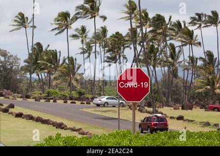 Panneau d'avertissement rouge Covid-19 sur le fond des palmiers de l'île tropicale de Kauai, îles hawaïennes. Concept d'épidémie de coronavirus aux États-Unis Hawai Banque D'Images