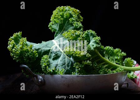 Brassica oleracea en carapace, , chou frisé, chou de printemps, chou d'hiver ( Brassica oleracea acephala var. Sabellica) Banque D'Images