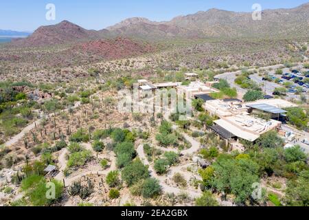 Musée du désert d'Arizona-Sonora, Tuscon, Comté de Pima, Arizona, États-Unis Banque D'Images