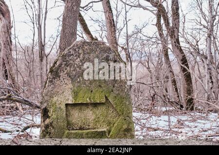 Un panneau de flèche sculpté dans une pierre recouverte de mousse dans un vieux parc d'hiver. Zheleznovodsk, Russie Banque D'Images